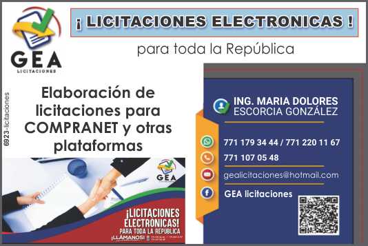 Electronic Tenders for the entire Republic. Preparation of tenders for COMPRANET and other platforms Electronic Tenders for the entire Republic. Preparation of tenders for COMPRANET and other platforms